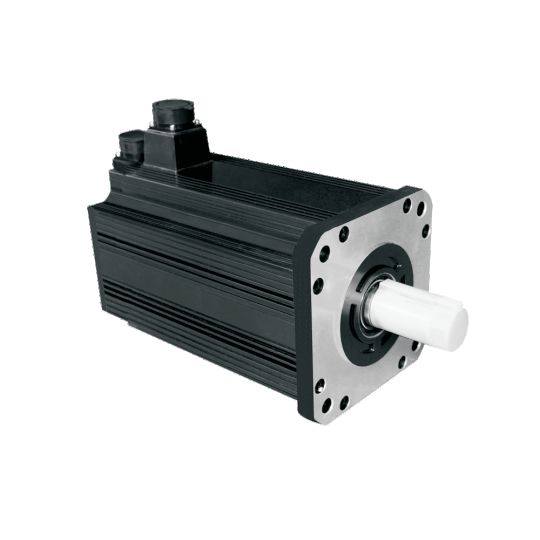 Malaking AC Servo Motor